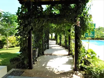 a pergola covered in ivy next to a pool at Verano 2019 in Santiago de los Caballeros