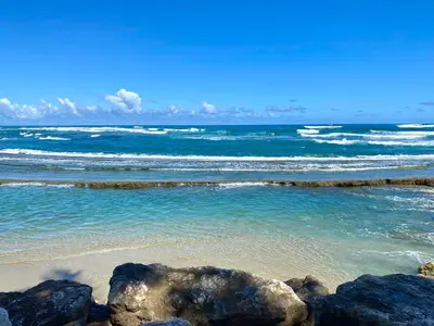 a beach with rocks in the water and the ocean at Hotel Alegria in Cabarete