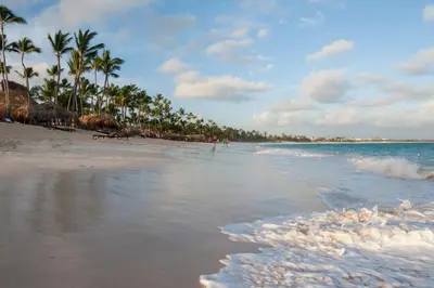 a sandy beach with palm trees and the ocean at Royalton Splash Punta Cana, An Autograph Collection All-Inclusive Resort & Casino in Punta Cana