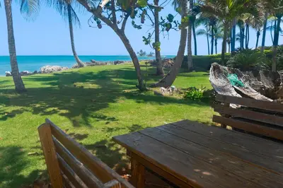 a wooden bench sitting on the grass near the ocean at Studio Lotte - Ocean Front in Las Galeras