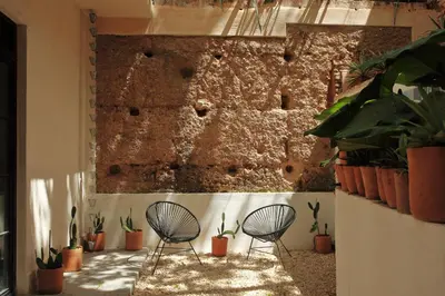 two chairs in front of a wall with plants at FIXIE LOFTS - Colonial Villa Suites with Pool in Santo Domingo