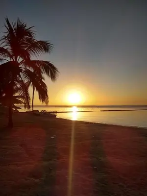 a sunset on a beach with a palm tree at Caribean House in Boca Chica