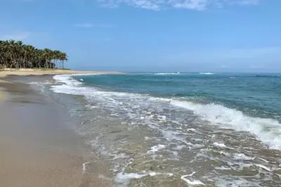 a beach with the ocean and trees in the background at Exclusive Villa at Hideaway Beach in Cabarete