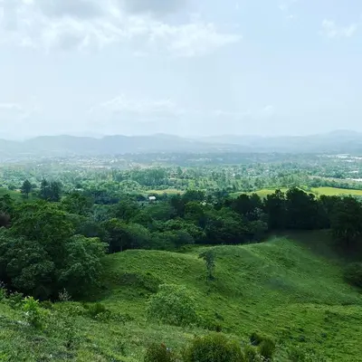 a view of a green hill with trees on it at Haus unter Palmen in Jarabacoa