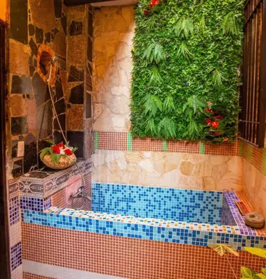 a tiled bathroom with a tub with a plant at Mansion Colonial Boutique Hotel Pool Jacuzzi Bar Restaurant by BTC Group Crypto in Santo Domingo