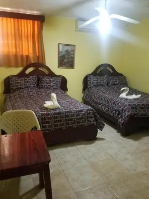 two beds in a room with two swans on them at Hotel Victoriano in San Felipe de Puerto Plata