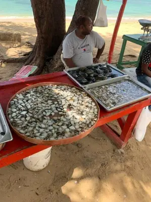 a man standing next to a table with rocks on it at Ballenas beach C6 in Las Terrenas