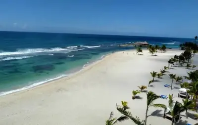 a view of a beach with palm trees and the ocean at Blue Boat Lindo Apartamento en Playa Juan Dolio in Juan Pedro