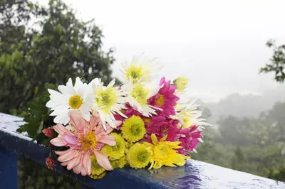 a bouquet of flowers sitting on a rail at Estancias Arroyazo in Constanza