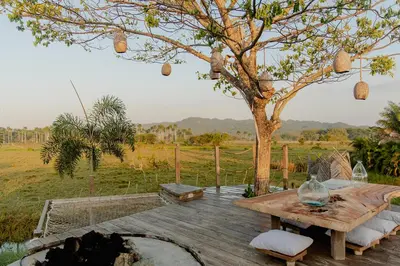 a wooden deck with a table and a tree at Green Land Bubble Glamping in Cabarete
