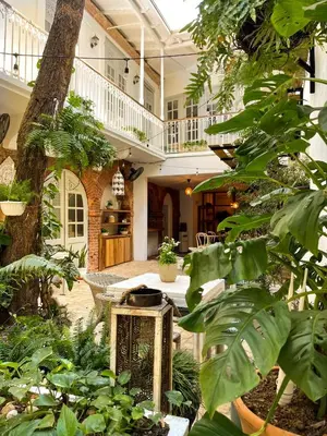 a courtyard with a lot of plants in a building at Mosquito Boutique Hotel Zona Colonial in Santo Domingo