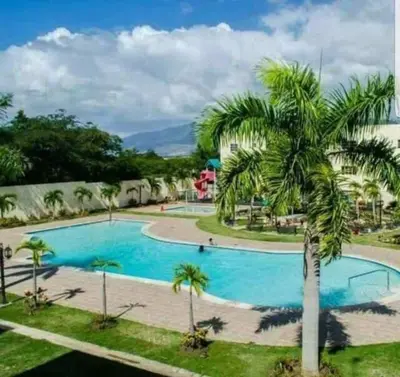 a palm tree in front of a swimming pool at SANTIAGO PARADISE in Santiago de los Caballeros