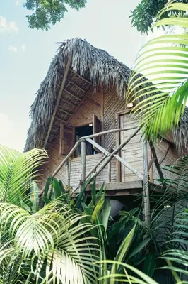 a wooden house with a thatch roof at Bungalows India, El Valle, Samana in Santa Bárbara de Samaná
