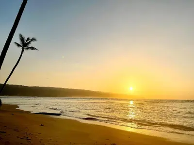 a palm tree on the beach at sunset at Villa Isha - modernist hideaway at Cap Bonita in Las Terrenas