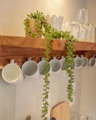 a shelf with cups and plants on it at Tropical Penthouse in the Heart of Las Terrenas! in Las Terrenas