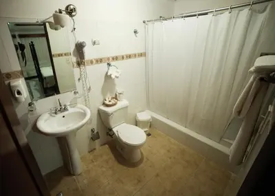 a bathroom with a toilet and a sink and a shower at Hotel Los Jardines in Santiago de los Caballeros