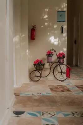 a bike parked in a hallway with two potted plants at Hotel Boutique Casa Sánchez in Santo Domingo