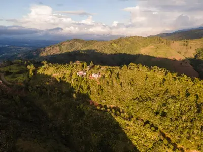 an aerial view of a forested hill with a house at Altos de Chulavista Constanza in Constanza