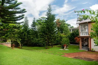 a yard with pine trees and a house at Estudio Jardín Escondido in Las Galeras