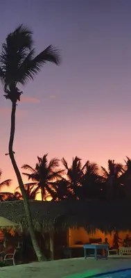 a palm tree on a beach with a sunset at Tritón Hotel Boutique & Restaurant in Guayacanes