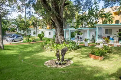 a tree in a yard in front of a house at Bungalow #9 at Waterfront Playa Alicia in Sosúa