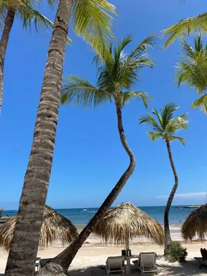 two palm trees and chairs on the beach at Punta Cana 2 Bedr. up to 6 guests 1 mile to Beach in Punta Cana