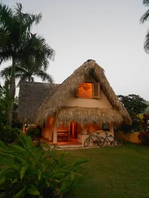 a house with a straw roof with a bicycle in front at Palm-covered house in the tropical -Casa Oli in Las Galeras