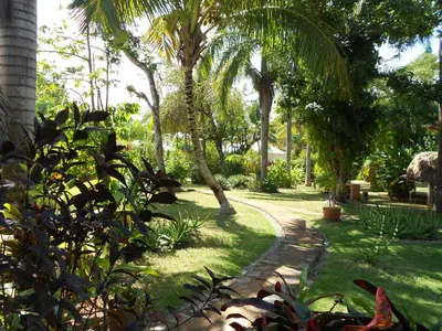 a garden with palm trees and a path at Casa 3 amigos-Palm roofed house in Las Galeras