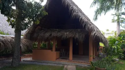 a small hut with a thatched roof at Casa 3 amigos-Palm roofed house in Las Galeras
