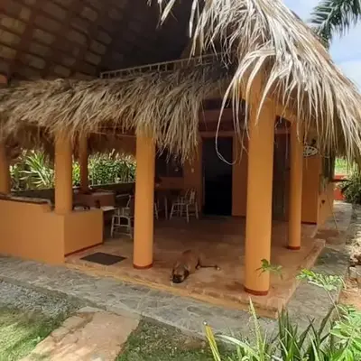 Casa 3 amigos-Palm roofed house