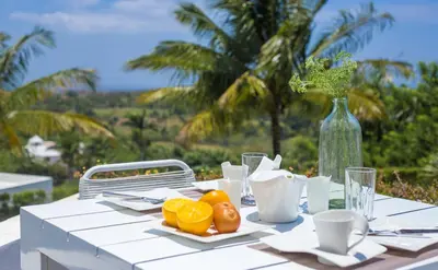 a white table with a plate of fruit and a vase at Villas Agua Dulce in Sosúa