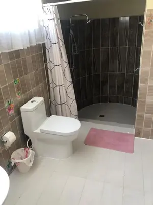 a bathroom with a toilet and a shower with a pink rug at Villa Luz in Baní