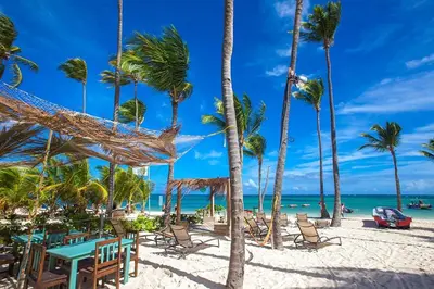a hammock on a beach with palm trees and the ocean at Cozy 2 bdr condo, with pool area and free WIFI in Punta Cana