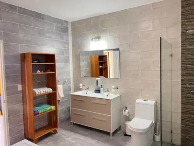a bathroom with a sink and a toilet and a mirror at Apartamento Carey in Cabrera