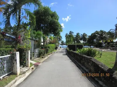 a street in front of a beach with palm trees at Pelicano Tropical Paraiso Samana in Santa Bárbara de Samaná