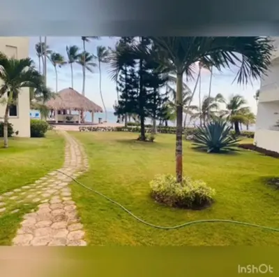 a hose hooked up to a palm tree in a yard at Apartamento estudio frente al mar in Guayacanes