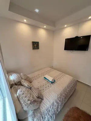 a bedroom with a bed and a flat screen tv at Paradise Suite Cadaqués in Bayahibe