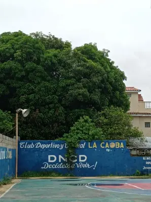 a blue wall with a sign on a basketball court at Villa Julirous Rd-spa and ApartHotel, Camp for vacationers, 2 bedrooms in Boca Chica