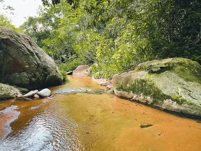 a stream of water with rocks in a forest at Casa del Arroyo 2-Bedroom Cottage Fireplace and BBQ in Jarabacoa