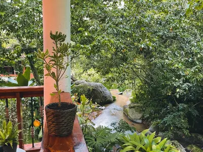 a potted plant sitting on a porch next to a river at Casa del Arroyo 2-Bedroom Cottage Fireplace and BBQ in Jarabacoa