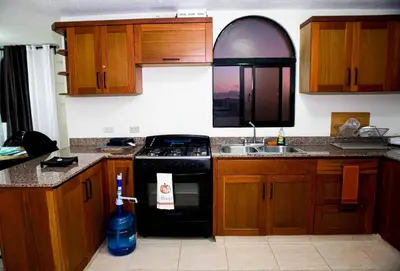 a kitchen with wooden cabinets and a stove and a sink at El más completo, a menos de 5 minutos de la playa, free wifi fuera del alojamiento in San Felipe de Puerto Plata