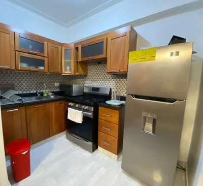 a kitchen with wooden cabinets and a stainless steel refrigerator at Torre Harriannet XIII in Santo Domingo