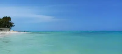 a beach with blue water and trees in the background at Room beach-front with private bathroom -Adults only in Punta Cana