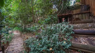 an old wooden bench covered in plants and trees at El Yaguacil villa in Jarabacoa