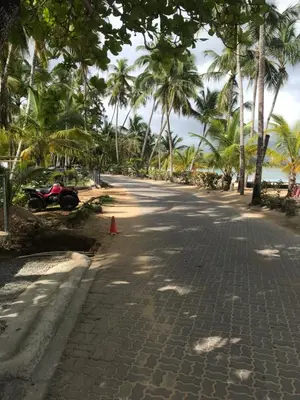 an empty street with palm trees and a orange cone at La Cortesana Cozy Apt Steps to the Beach in Las Terrenas