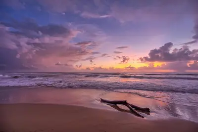a piece of driftwood on the beach at sunset at Amazing ocean view apartment with grand pool in Cabarete