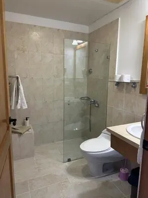 a bathroom with a shower and a toilet and a sink at Hotel Palmera Bayahibe in Bayahibe
