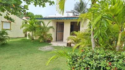 a house with a palm tree in the yard at El Conde del Macao in Salado