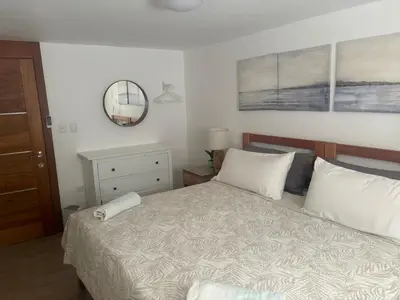 a bedroom with a bed with white pillows and a mirror at Kite Beach Oceanfront 1st Row Two Bedrooms and patio in Cabarete