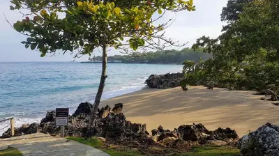 a sandy beach with a tree and the ocean at Infiniti Blu Luxury Ocean Front Condos in Sosúa